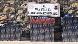 Van, Şırnak ve Hakkari'de 5 kişi gözaltına alındı
