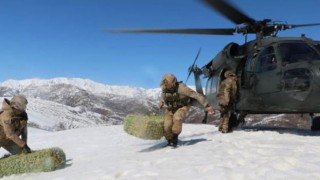 Askeri helikopter bu kez yaban hayvanları için havalandı