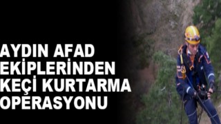Aydın’da mahsur kalan keçi kurtarıldı