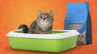 Tekstil sektörü Bursa’dan rekor sayıda ’kedi kumu’ satıldı