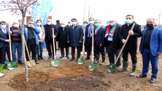 Türkiye- Azerbaycan kardeşliği Kocaeli’de yeşillenecek