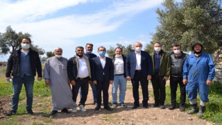 Ürdünlü yatırımcıdan Didim’e aromatik bitki atağı