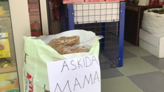 Sokak hayvanları için “askıda mama” kampanyası