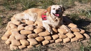 Van'da 233 kilo eroin ele geçti