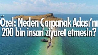 Çarpanak'ta 'Festival' heyecanı