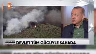 Erdoğan: Yerleşim bölgelerindeki yangın, büyükşehir belediyelerinin sorumluluğundadır