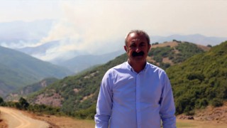 Tuğçe Tatari yazdı: Marmaris yangınlarında ortam dizi seti gibiydi; Dersim'de yanan can can, ağaç ağaç değil mi?