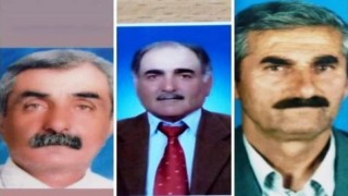 Van'da 4 kardeş 9 ay içinde koronavirüse yenik düştü