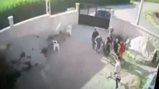 Konya katliamında 2 kişi daha tutuklandı
