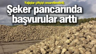 Yağışlar çiftçiyi cesaretlendirdi; Şeker pancarında başvurular arttı