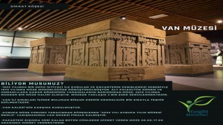 Aktivistlerden Van Müzesi tanıtım çalışması