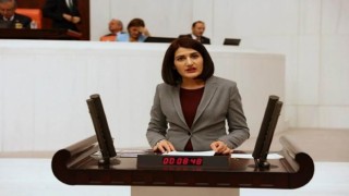 HDP'li vekil Semra Güzel'in evine polis baskını