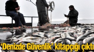 Van Gölü'nü de ilgilendiren ‘Denizde Güvenlik’ kuralları yayınlandı