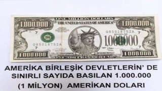 Van'da "1 milyon dolar" ele geçirildi