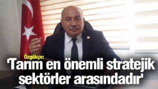 Özgökçe: 'Tarım en önemli stratejik sektörler arasındadır'