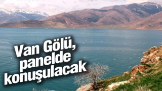 Van Gölü, panelde konuşulacak