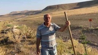 Digor katliamının olduğu bölgeye ağaç diken eski Milletvekili Alınak: Kurbanların anısına açık hava müzesi kurduk