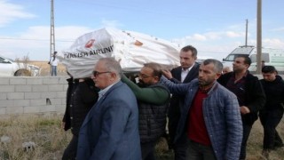 VAAD: Sokak köpekleri yerel idarenin sorumluluğundadır