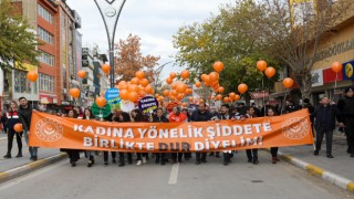 Van'da kadınlar yürüdü