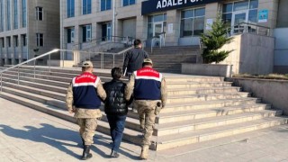 Van'ın 'suç makinesi' yakalandı