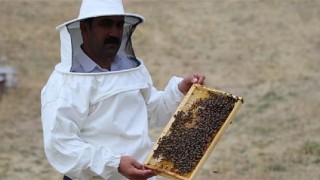 Arılı kovan destekleme icmalleri yayınlandı