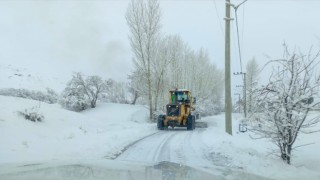 Van'da 347 yerleşim yolu ulaşıma kapalı
