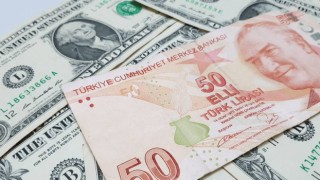 Dolarda rekor serisi sürüyor