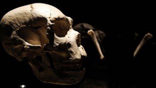 İnsanların ataları 'yeryüzünden silinme noktasına gelmiş olabilir'