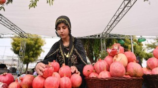 'Halepçe Nar ve Sonbahar Festivali' başladı