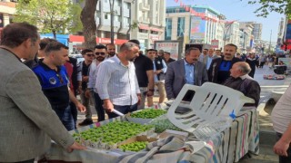 Van'da kaldırım işgali denetimleri