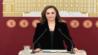 DEM Parti'de henüz yol haritası yok!