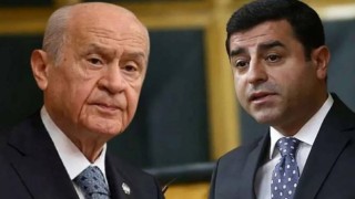 Devlet Bahçeli'nin Selahattin Demirtaş'la görüşmesinin perde arkası