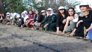 Edremit Kadın Kent Bostanı kuruldu