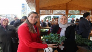 Tuşba Belediyesi, ilçe sakinlerine sebze fidesi sağlıyor