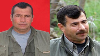 PKK'nin iki üst düzey yöneticisi hayatını kaybetti