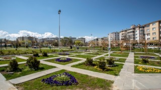 Van'da bir genç parkta ölü bulundu