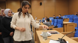 Rojin Kabaiş için Meclis toplantısında suya çakıl taşları atıldı