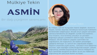 Mülkiye Tekin'in Asmin isimli romanı çıktı