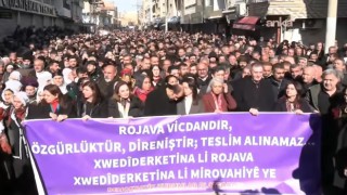 DEM Parti Meclis Grubu, Rojava sınırında yürüyüş düzenledi