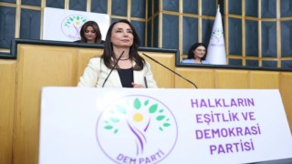 Hatimoğulları: İmralı'da oluşan mutabakat çerçeve yasaya yansıtılmalı