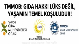 TMMOB’DAN 16 EKİM DÜNYA GIDA GÜNÜ MESAJI: “GIDA HAKKI LÜKS DEĞİL, YAŞAMIN TEMEL KOŞULUDUR”